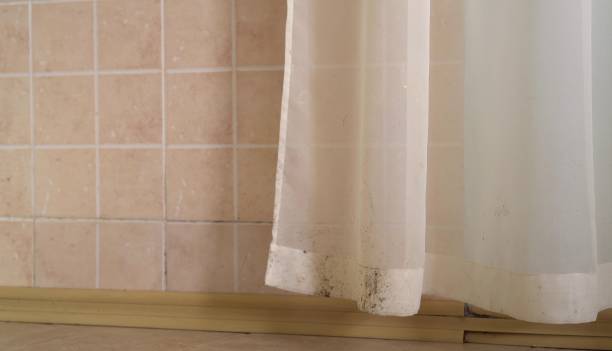 Best Air Quality Testing for Mold Spores  in Bacliff, TX
