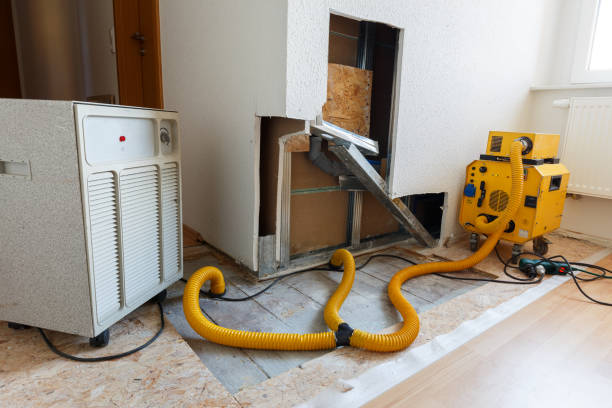 Best Mold Documentation for Insurance Claims  in Bacliff, TX